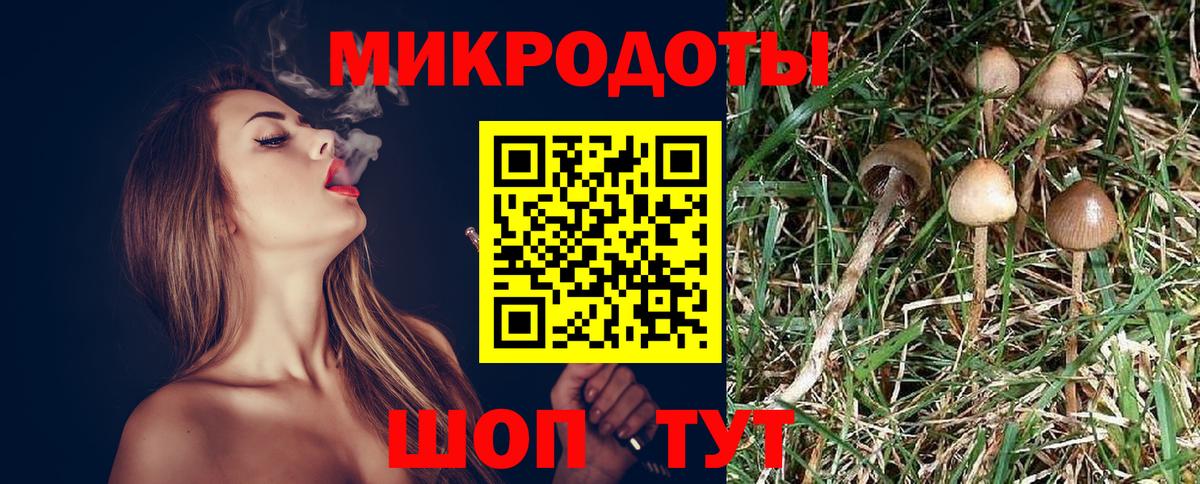 где купить наркоту  Вход с VPN  Хасавюрт  Псилоцибиновые грибы GOLDEN TEACHER 