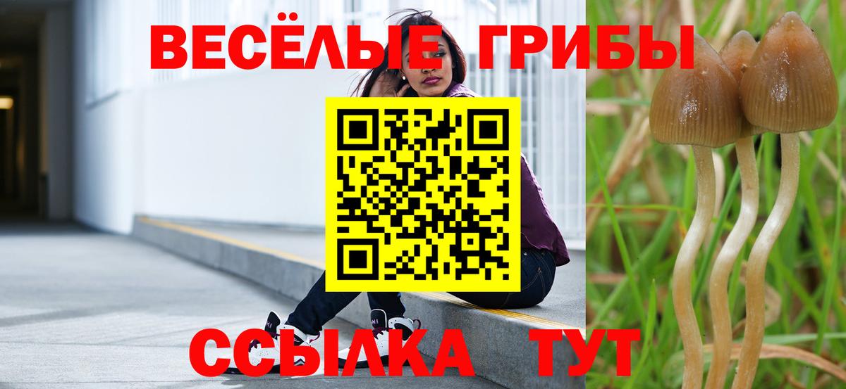 Псилоцибиновые грибы MAGIC MUSHROOMS Хасавюрт